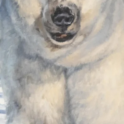 Featured image for “Polar Bear”